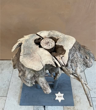 "Jesse" The root of Jesse Advent path University Hospital Dresden December 2021